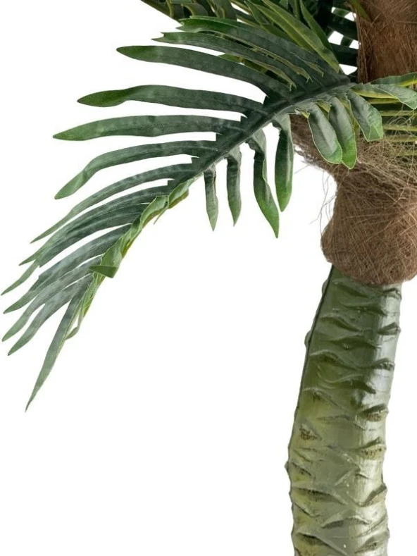 Nettenevime Yapay Ağaç Coco Palmiye Ağacı Beyaz Kumsal Vazoda 190*80 cm - Resim 5