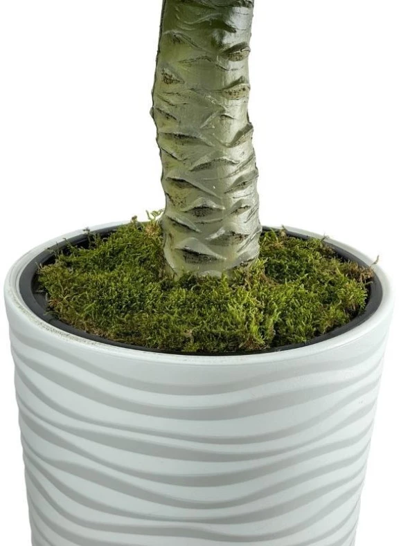 Nettenevime Yapay Ağaç Coco Palmiye Ağacı Beyaz Kumsal Vazoda 190*80 cm - Resim 6