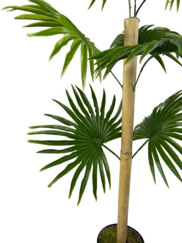Nettenevime Yapay Ağaç Fanpalm 8Yaprak 85*45cm Yelpaze Palmiye Siyah Aleminyum Saksı - Resim 6