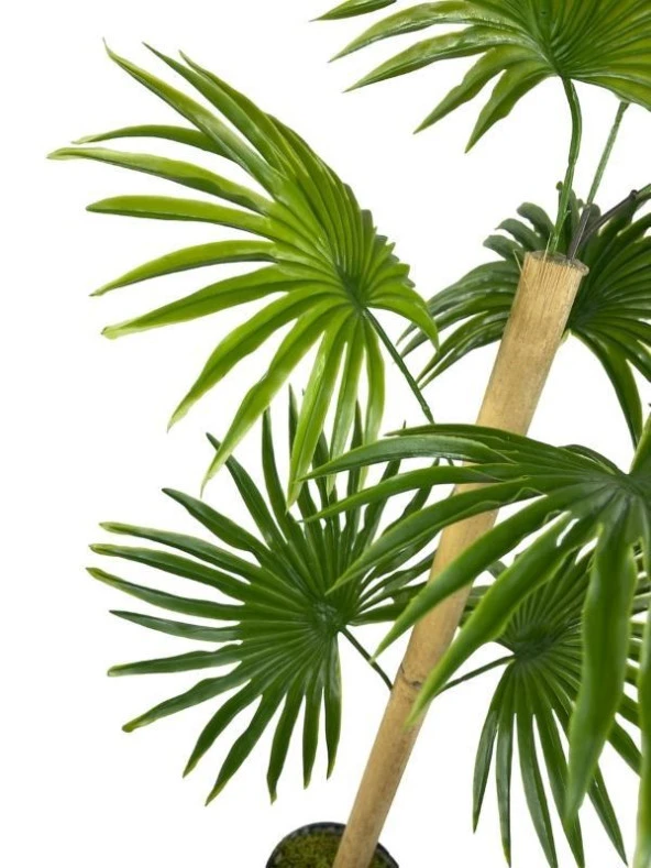 Nettenevime Yapay Ağaç Fanpalm 8Yaprak 85*45cm Yelpaze Palmiye Siyah Aleminyum Saksı - Resim 7