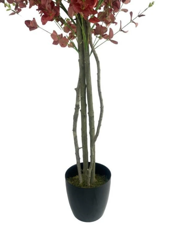 Nettenevime Yapay Ağaç Kızılkahve Okaliptus 2 Gövdeli Çalılı 180*80cm Siyah Plastik Saksılı - Resim 4