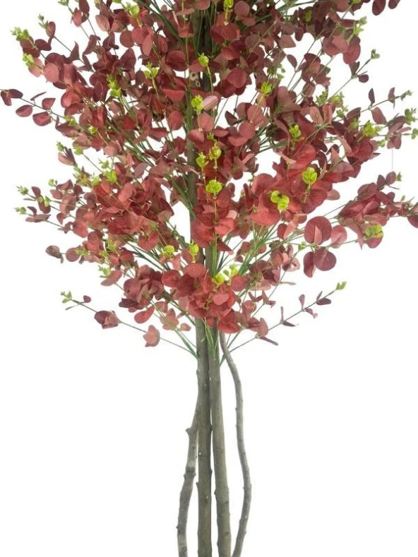 Nettenevime Yapay Ağaç Kızılkahve Okaliptus 2 Gövdeli Çalılı 180*80cm Siyah Plastik Saksılı - Resim 6