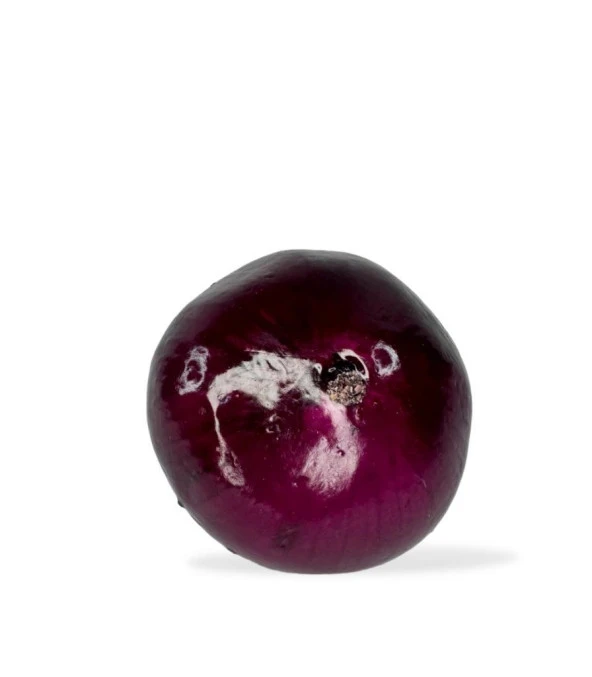 Nettenevime Yapay Kırmızı Soğan 1adet Yapay Sebze 8*7 cm Gerçek Boyut - Resim 3