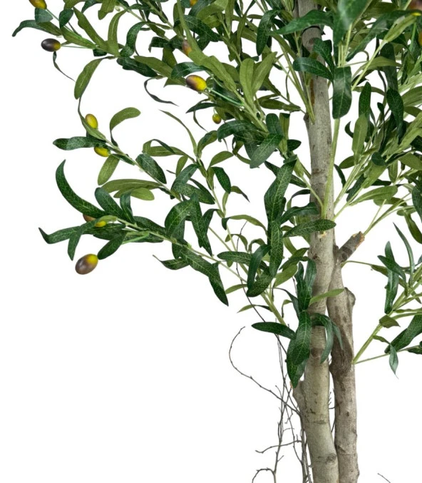 Nettenevime Yapay Zeytin Ağacı 190cm Keten Sarılı Plastik Saksıda İki Gövdeli Doğal Görünümlü Yapay Ağaç - 2