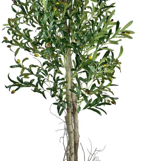 Nettenevime Yapay Zeytin Ağacı 190cm Keten Sarılı Plastik Saksıda İki Gövdeli Doğal Görünümlü Yapay Ağaç - 8