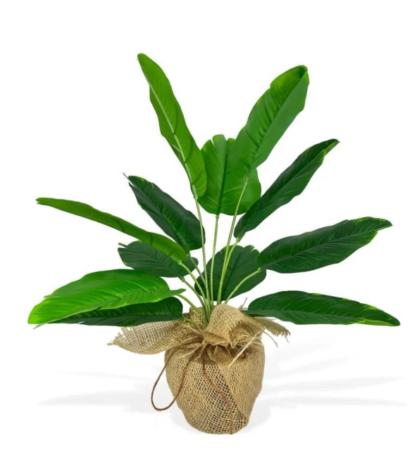 Nettenevime Yapay Çiçek Keten Hasır Saksıda Yeşil Muz Yapraklı 12Dal 50cm Salon Çiçeği Yapay Bitki - Resim 8