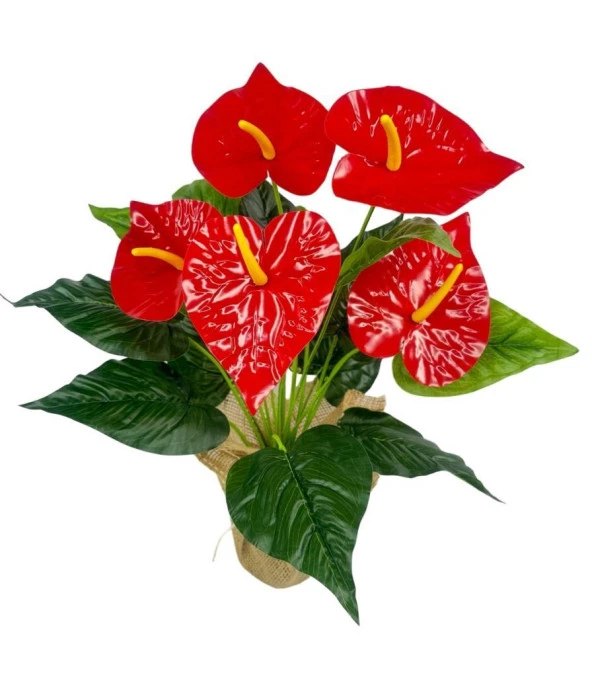 Nettenevime Yapay Çiçek Antoryum Keten Saksılı Yapay Bitki Salon Çiçeği Kırmızı - 2