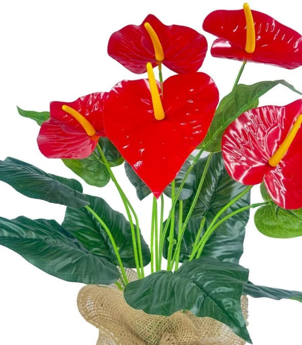 Nettenevime Yapay Çiçek Antoryum Keten Saksılı Yapay Bitki Salon Çiçeği Kırmızı - 3