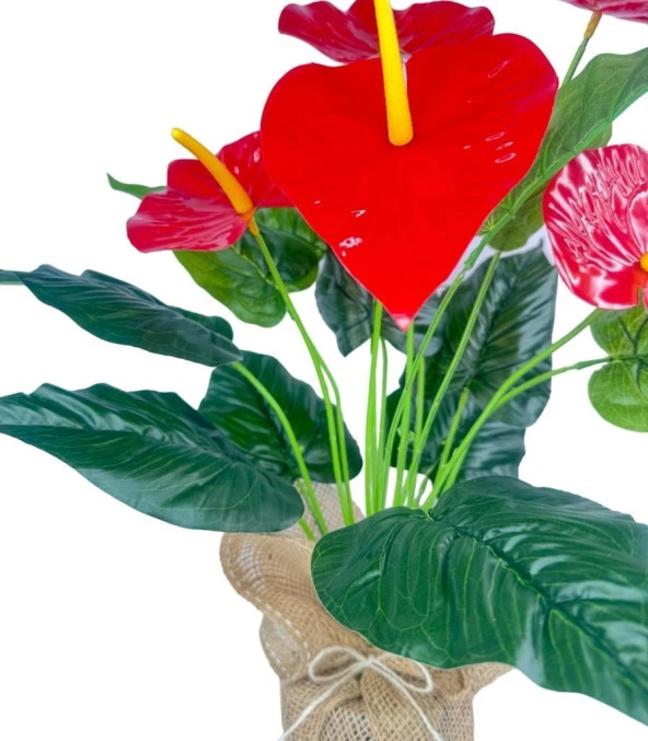 Nettenevime Yapay Çiçek Antoryum Keten Saksılı Yapay Bitki Salon Çiçeği Kırmızı - 4