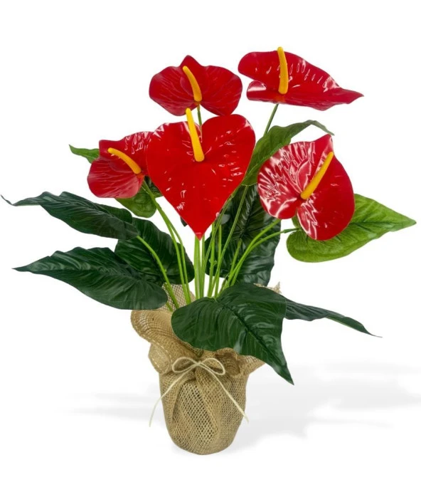 Nettenevime Yapay Çiçek Antoryum Keten Saksılı Yapay Bitki Salon Çiçeği Kırmızı - 5