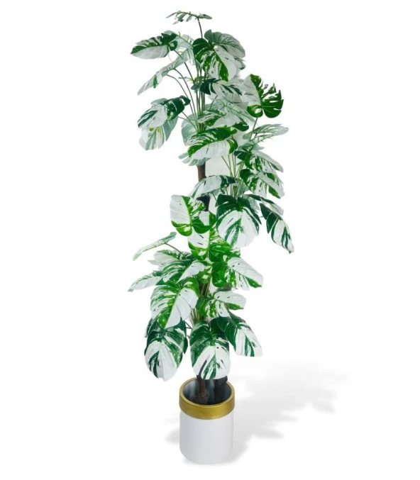 Nettenevime Yapay Çiçek Monstera Yeşil Beyaz Deve Tabanı 3Katlı 180cm 54Yaprak Altın Kemerli Beyaz Metal Saksı