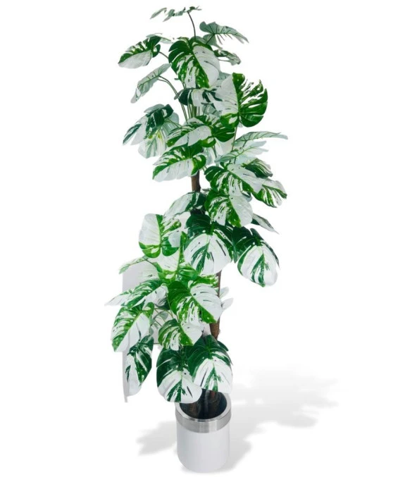 Nettenevime Yapay Çiçek Monstera Yeşil Beyaz Deve Tabanı 3Katlı 180cm 54Yaprak Gümüş Kemerli Beyaz Metal Saksı