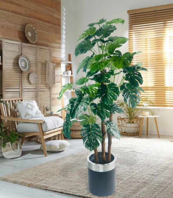 Nettenevime Yapay Çiçek Monstera Yeşil Deve Tabanı 3Katlı 135cm 54Yaprak Gümüş Kemerli Siyah Saksıda Yapay Bitki - Resim 4