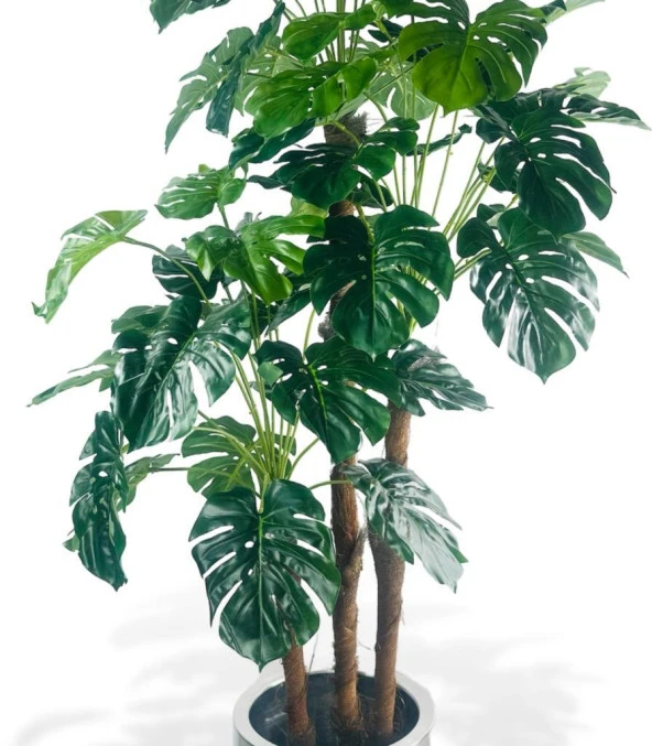 Nettenevime Yapay Çiçek Monstera Yeşil Deve Tabanı 3Katlı 135cm 54Yaprak Gümüş Kemerli Siyah Saksıda Yapay Bitki - Resim 5