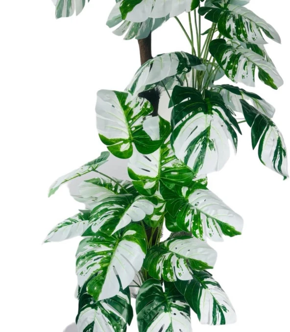 Nettenevime Yapay Çiçek Monstera Yeşil Beyaz Deve Tabanı 3Katlı 180cm 54Yaprak Gümüş Kemerli Beyaz Metal Saksı - 6