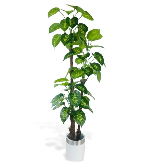 Nettenevime Yapay Çiçek Difenbahya Sarı Yeşil 3Katlı 190cm 54Yaprak Gümüş Kemerli Beyaz Saksıda Yapay Bitki
