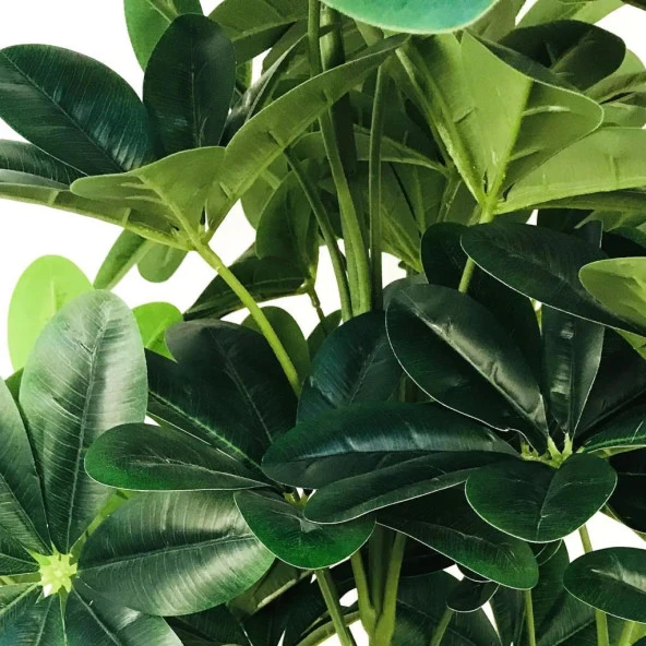 Nettenevime Yapay Ağaç Şeflera 3 Gövdeli 160x60cm Siyah Yakut Saksıda Salon Çiçeği - 4