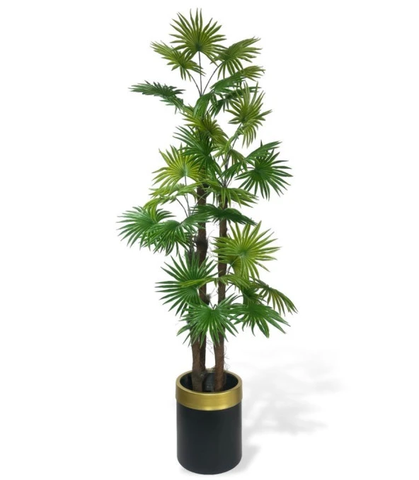 Nettenevime Yapay Ağaç Yelpaze Palmiye 4Katlı Fanpalm 32 Yaprak Altın Kemerli Siyah Saksıda 170*65cm