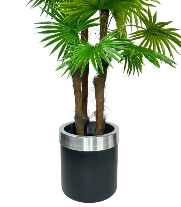 Nettenevime Yapay Ağaç Yelpaze Palmiye 4Katlı Fanpalm 32 Yaprak Gümüş Kemerli Siyah Saksıda 170*65cm - Resim 4