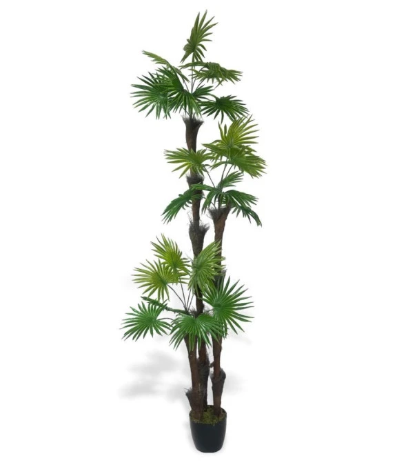 Nettenevime Yapay Ağaç Palmiye Fanpalm 3Katlı 24Yaprak Siyah Plastik Saksıda 165*65cm ürün görseli