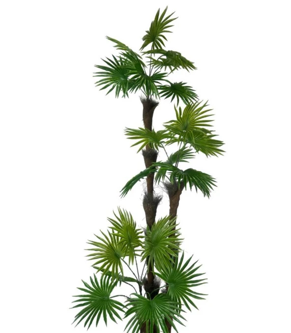 Nettenevime Yapay Ağaç Palmiye Fanpalm 3Katlı 24Yaprak Siyah Plastik Saksıda 165*65cm - Resim 3