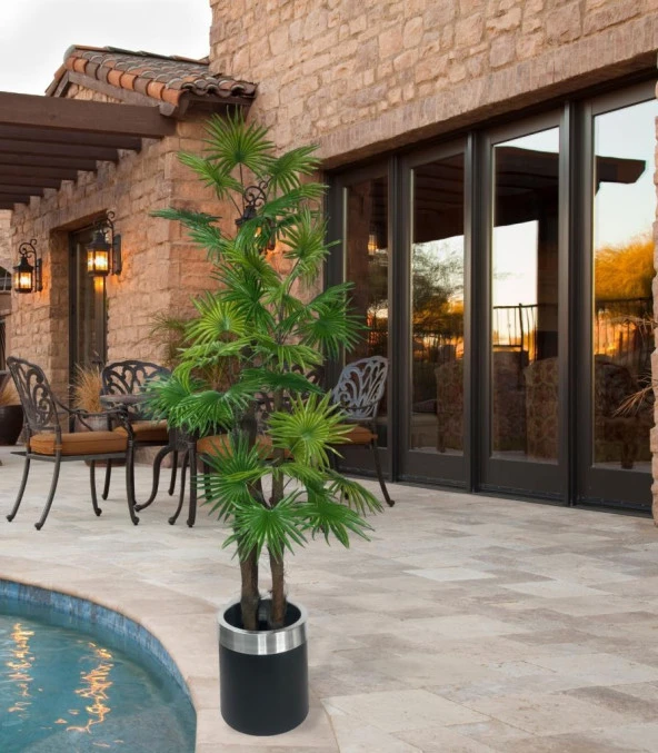 Nettenevime Yapay Ağaç Yelpaze Palmiye 4Katlı Fanpalm 32 Yaprak Gümüş Kemerli Siyah Saksıda 170*65cm - Resim 7