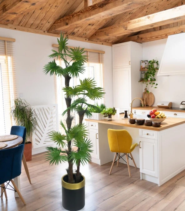 Nettenevime Yapay Ağaç Palmiye Fanpalm 3Katlı 24Yaprak Gold Kemerli Siyah Saksıda 165*65cm - Resim 2
