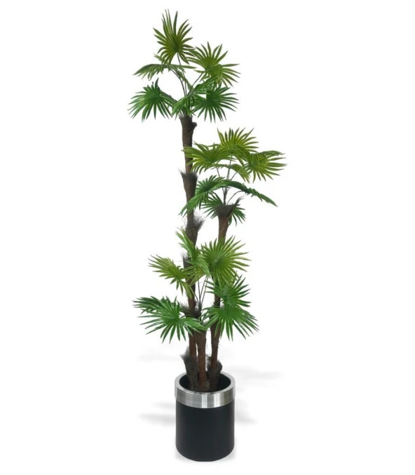 Nettenevime Yapay Ağaç Palmiye Fanpalm 3Katlı 24Yaprak Gümüş Kemerli Siyah Saksıda 165*65cm