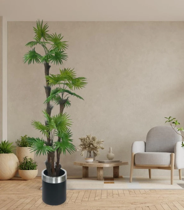 Nettenevime Yapay Ağaç Palmiye Fanpalm 3Katlı 24Yaprak Gümüş Kemerli Siyah Saksıda 165*65cm - Resim 3