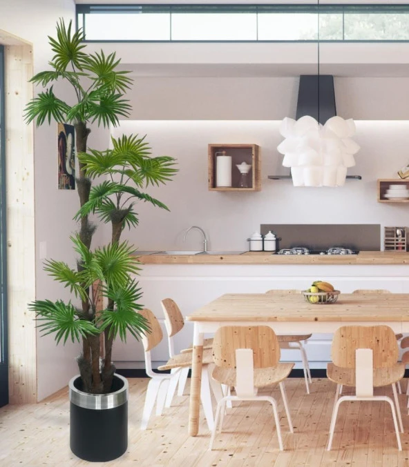 Nettenevime Yapay Ağaç Palmiye Fanpalm 3Katlı 24Yaprak Gümüş Kemerli Siyah Saksıda 165*65cm - Resim 4
