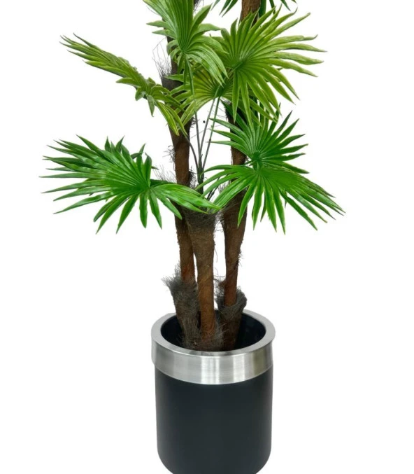 Nettenevime Yapay Ağaç Palmiye Fanpalm 3Katlı 24Yaprak Gümüş Kemerli Siyah Saksıda 165*65cm - Resim 5