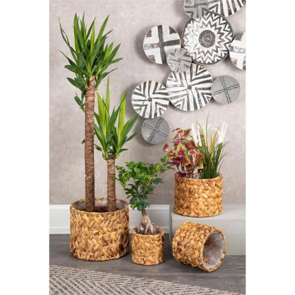 Nettenevime Dekoratif Hasır 4lü Set Saksı Bohem Konsept Muz Lifi Örgü Saksı - 5