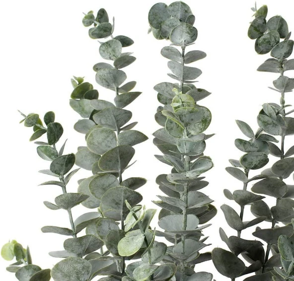 3lü Set Yapay Çiçek Pastel Yeşil Okaliptus 3Dallı Uzun Dal 76cm Eucalyptus - 4