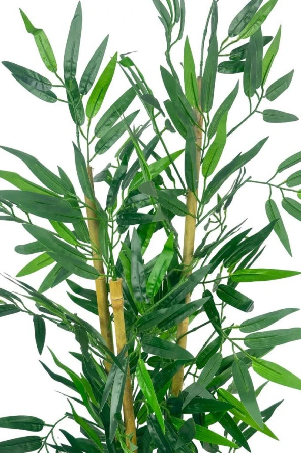 Nettenevime Yapay Ağaç Bambu Ağacı 3 Gövdeli 90*40cm Siyah Saksılı - Resim 6