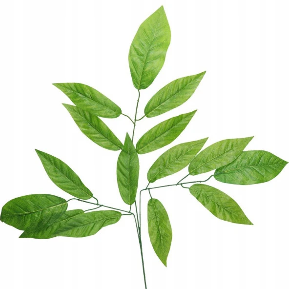 Nettenevime Yapay Çiçek 12 Dal Ceviz Yaprağı Yeşil Ağaç Yaprağı - Resim 6