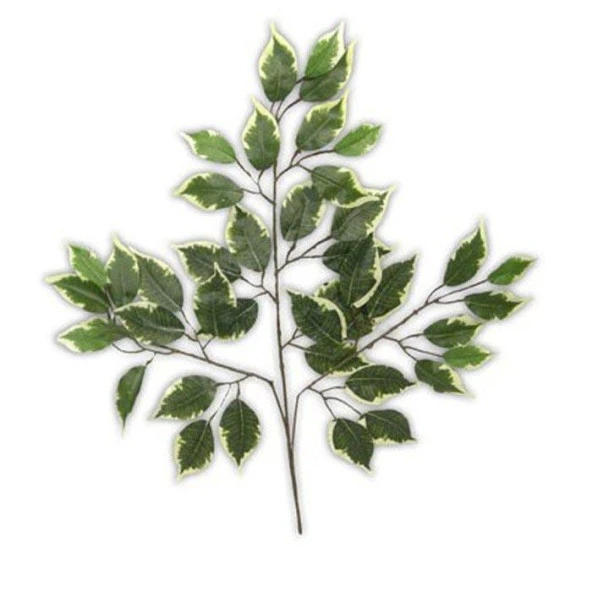 Nettenevime Yapay Çiçek Benjamin Yaprağı Yeşil Beyaz Detaylı  Ağaç Yaprağı - Resim 2