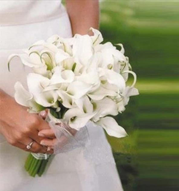 Nettenevime Yapay Çiçek Islak Gala Gerçeksi Eva Malzeme Cala Flower 8li KREM - Resim 3