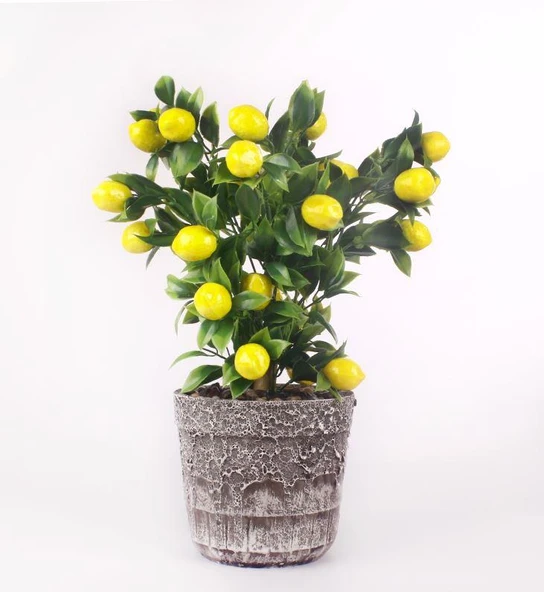 Nettenevime Limon Ağacı Seramik Saksıda Yapay Çiçek ürün görseli