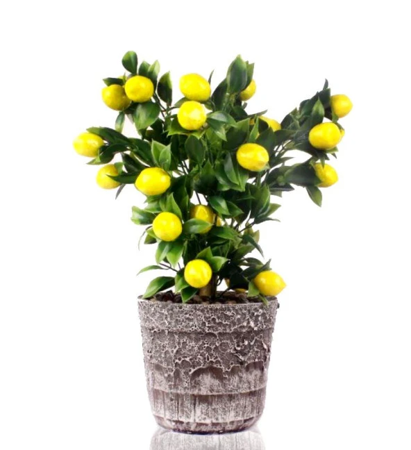 Nettenevime Yapay Çiçek Seramik Saksıda Limon Ağacı ürün görseli 1
