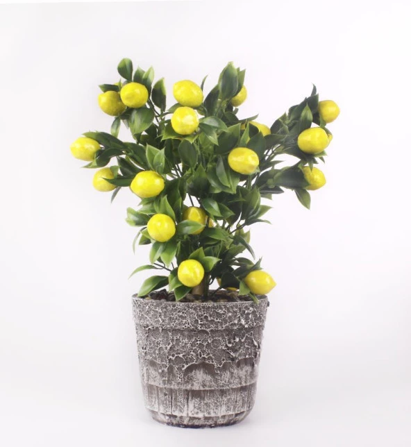 Nettenevime Limon Ağacı Seramik Saksıda Yapay Çiçek - Resim 2