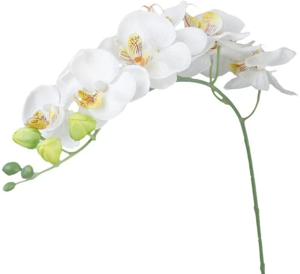 Yapay Çiçek Beyaz Islak Orkide Uzun Dal 90 cm Orkide - 2