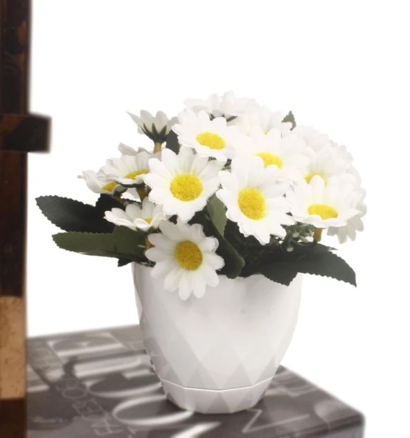 Nettenevime Yapay Çiçek Beyaz Saksıda Papatya Doğal Kır Papatyası ürün görseli