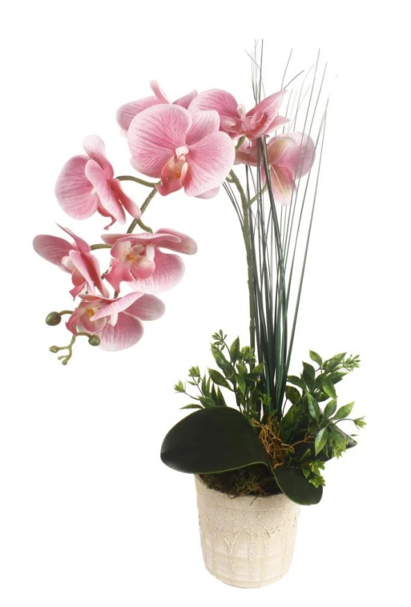 Nettenevime Yapay Çiçek Orkide Seramik Saksıda Pembe Islak Orkide ürün görseli 1