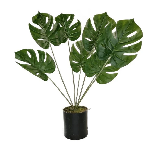 Yapay Çiçek Monstera Deve Tabanı Siyah Saksılı Salon Çiçeği 7 Yaprak 66cm