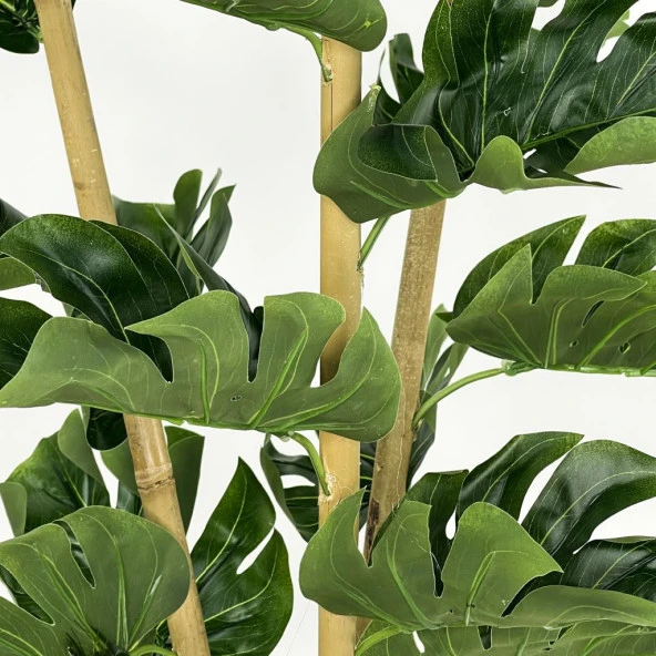 Nettenevime Yapay Çiçek Monstera Bambu Saplı Deve Tabanı Gümüş Saksılı Salon Çiçeği 18 Yaprak 80 cm - 3