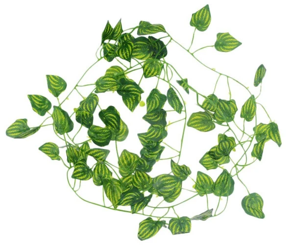 Nettenevime Yapay Sarmaşık Sarı Çizgili 12Lİ PAKET 230X12=2760CM - Resim 2