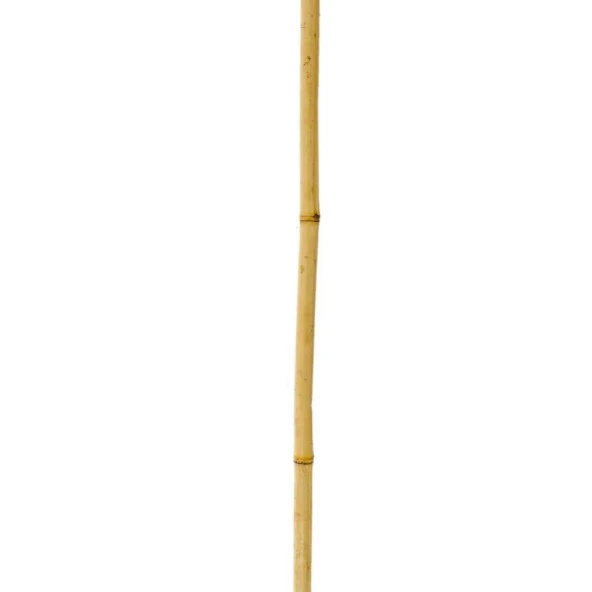 Nettenevime Bambu Sopası 180 cm 16 -18mm Bambu Çubuğu 5 ADET - Resim 5