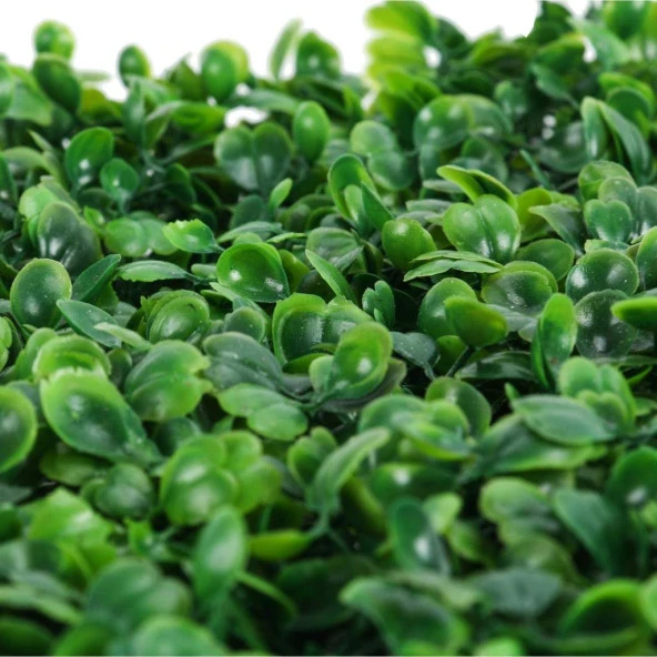 Nettenevime 10'lu Duvar Kaplama Panel Şimşir Tabaka 40x60 cm - Resim 6