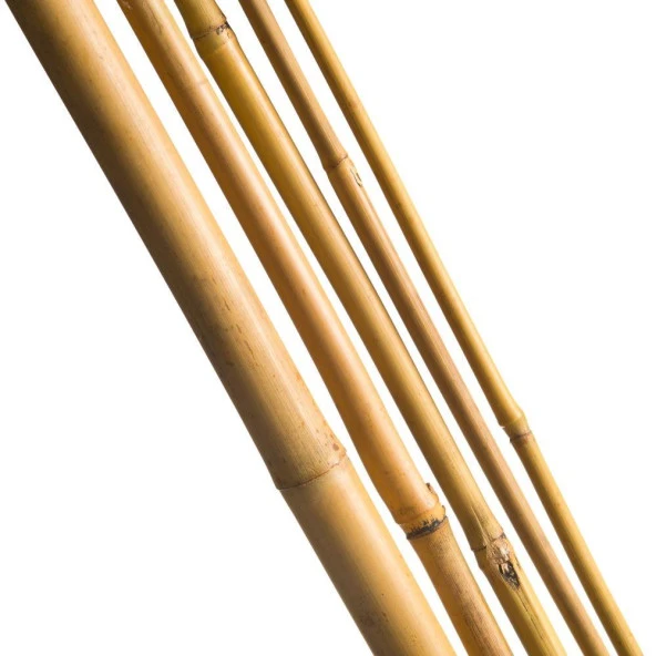 Nettenevime Bambu Sopası 240 cm 18-20mm Bambu Çubuğu 5 ADET - Resim 3