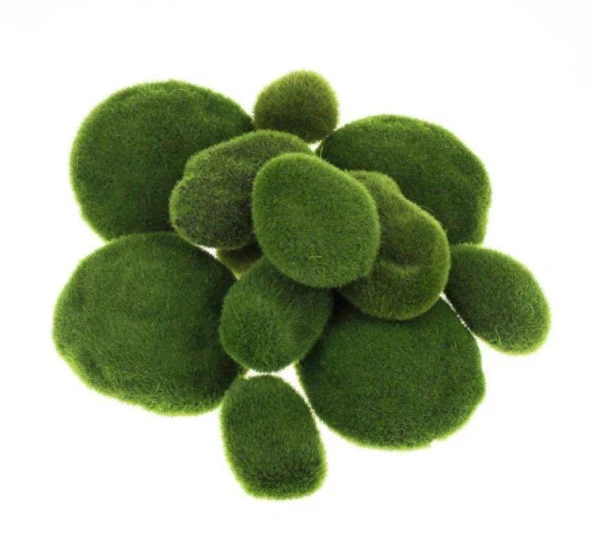 Nettenevime Taş Yosun Teraryum Ve Akvaryum Dekoru